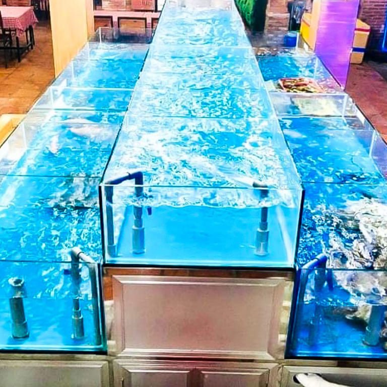 Một số lợi ích tuyệt vời khi thiết kế hồ cá hải sản
