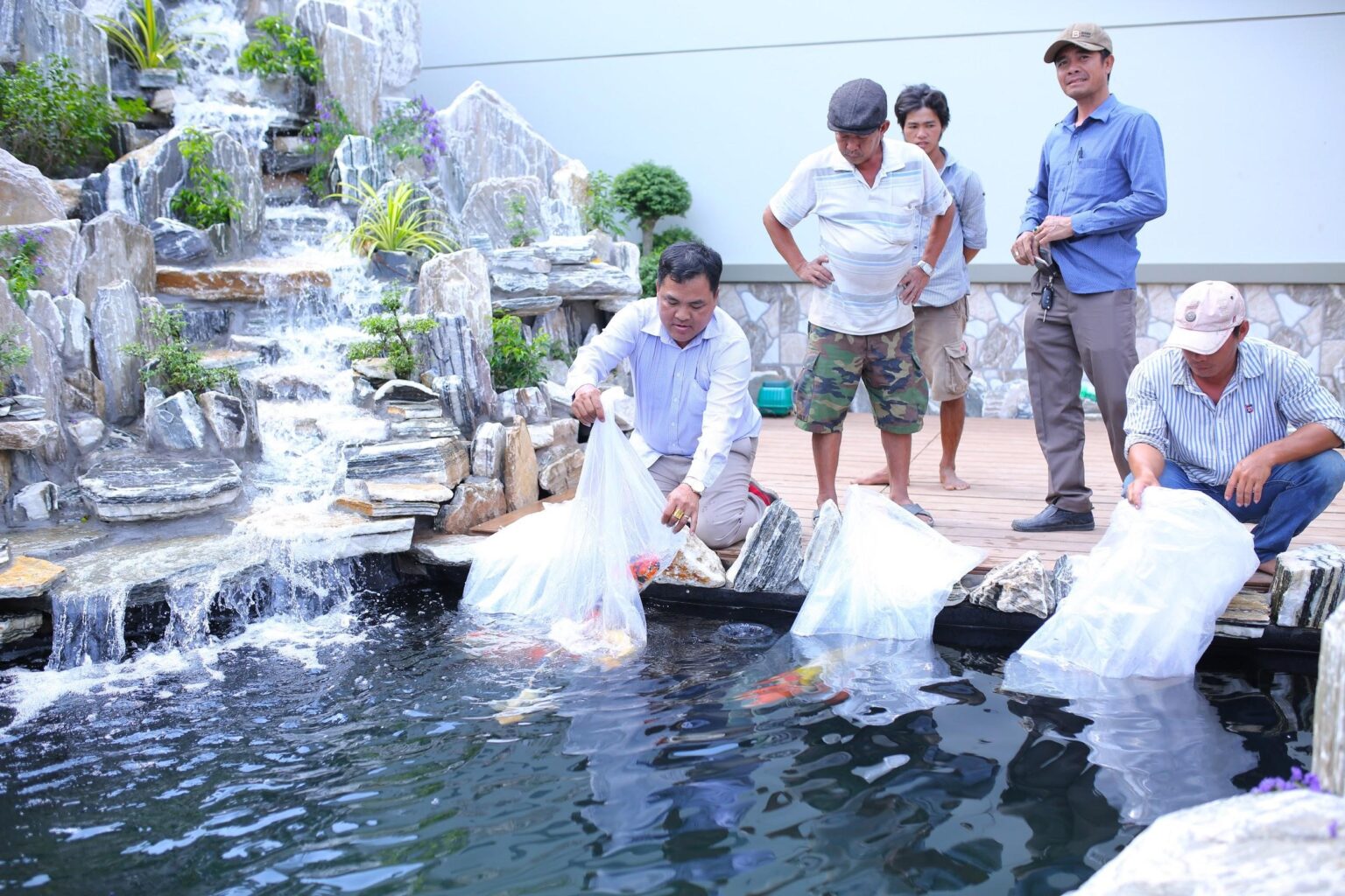 Thả nước vào hồ và sử dụng vi sinh làm sạch hồ